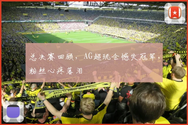 总决赛回顾，AG超玩会憾失冠军，粉丝心疼落泪