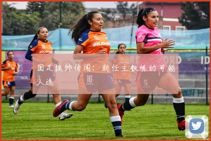 国足换帅传闻:新任主教练的可能人选